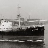 Tvaikonis “Brīvība”